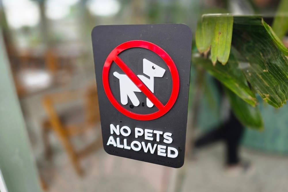 No pets allowed sign on glass door at Honeysuckle Executive Apartments Newcastle NSW